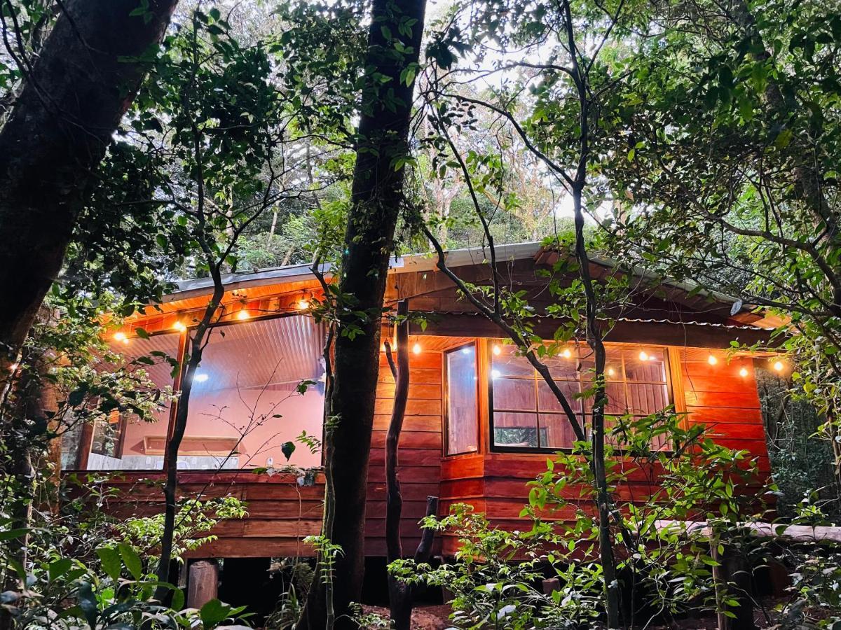 Cabanas La Montana モンテベルデ エクステリア 写真