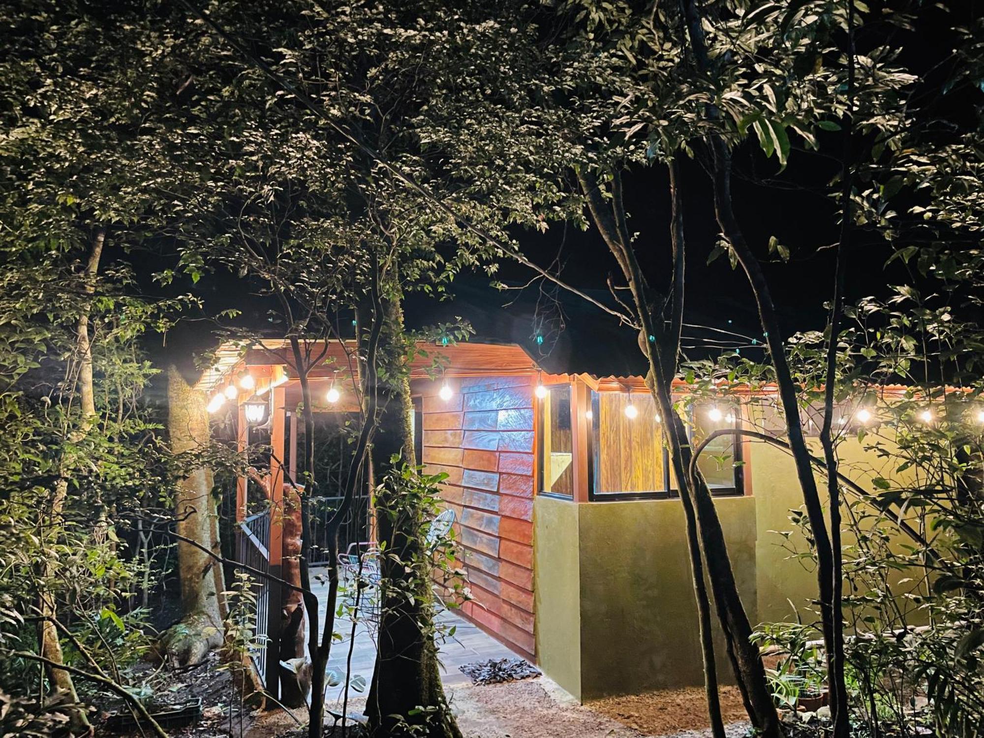 Cabanas La Montana モンテベルデ エクステリア 写真